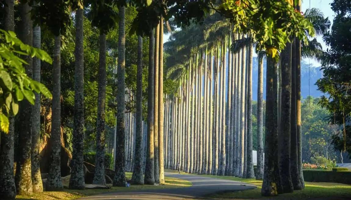 Serene Home Kandy Bagian luar foto